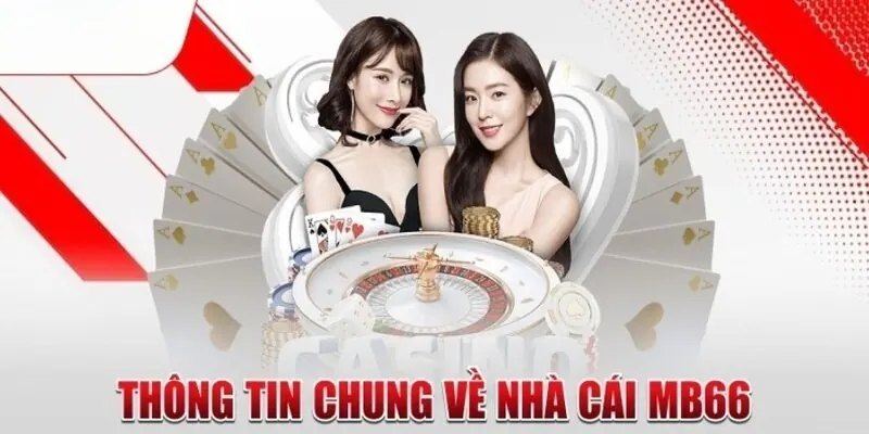 Hướng dẫn Five88 - Bắt đầu từ thông tin bạn thực sự cần